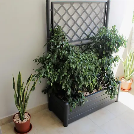 Casa Angelina Deluxe Apartment Lecce