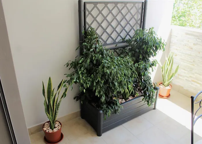 Casa Angelina Deluxe Apartment Lecce